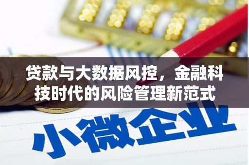 桃江贷款与大数据风控，金融科技时代的风险管理新范式