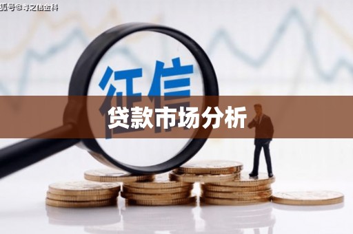 桃江贷款市场分析