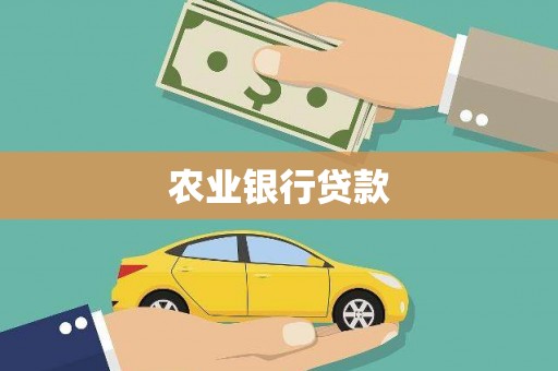 桃江农业银行贷款