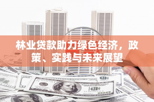 桃江林业贷款助力绿色经济，政策、实践与未来展望