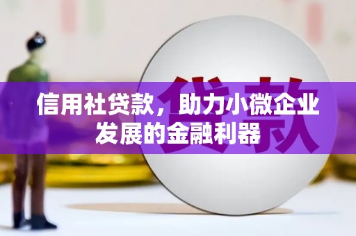 桃江信用社贷款，助力小微企业发展的金融利器