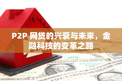 桃江P2P 网贷的兴衰与未来，金融科技的变革之路