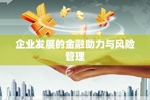 桃江企业发展的金融助力与风险管理