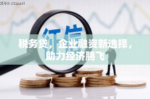 桃江税务贷，企业融资新选择，助力经济腾飞
