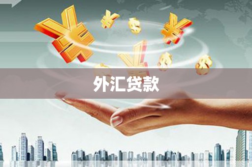 桃江外汇贷款