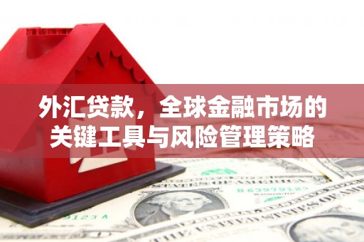 桃江外汇贷款，全球金融市场的关键工具与风险管理策略