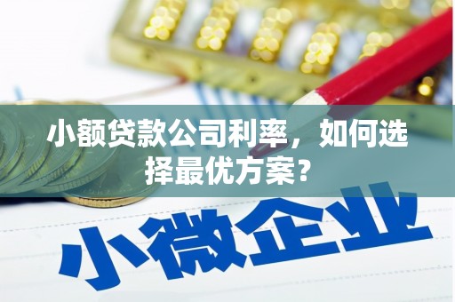 桃江小额贷款公司利率，如何选择最优方案？
