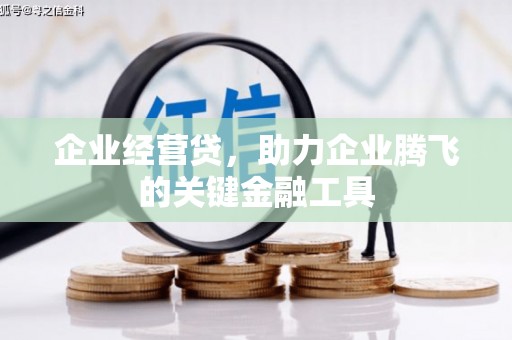 桃江企业经营贷，助力企业腾飞的关键金融工具