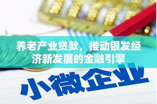 桃江养老产业贷款，推动银发经济新发展的金融引擎