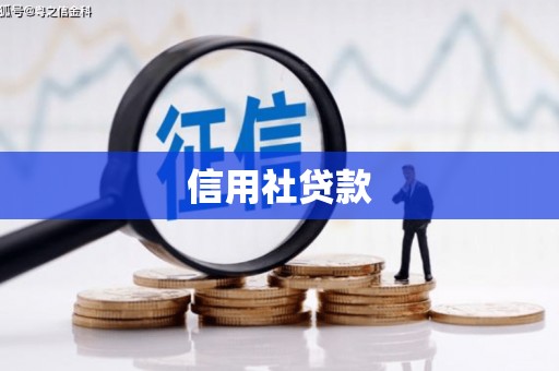 桃江信用社贷款