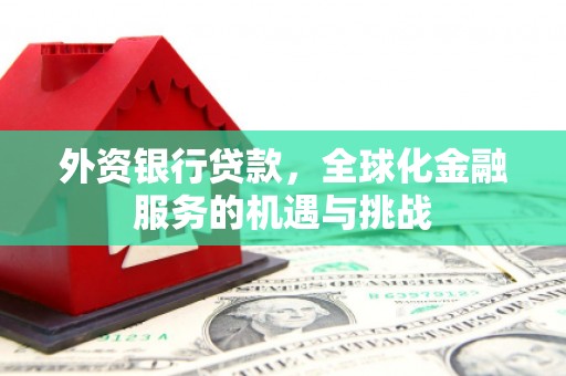 桃江外资银行贷款，全球化金融服务的机遇与挑战