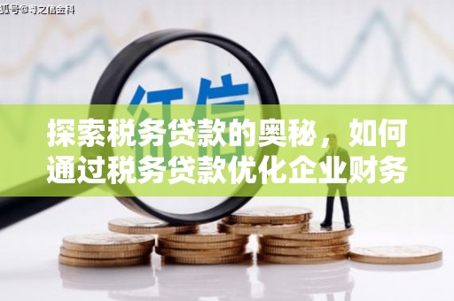 桃江探索税务贷款的奥秘，如何通过税务贷款优化企业财务