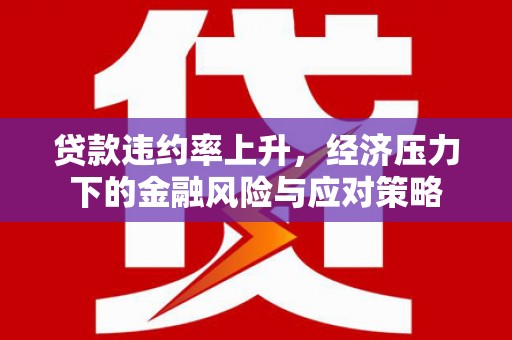桃江贷款违约率上升，经济压力下的金融风险与应对策略
