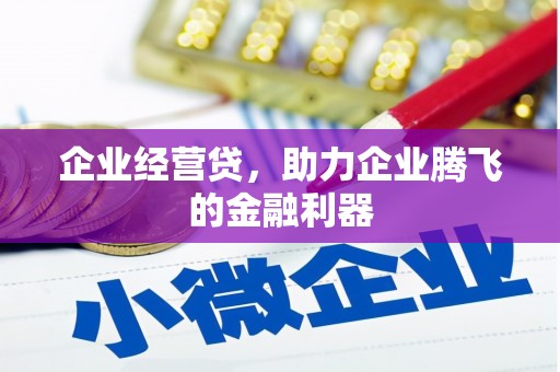 桃江企业经营贷，助力企业腾飞的金融利器