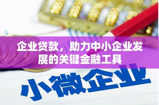 桃江企业贷款，助力中小企业发展的关键金融工具