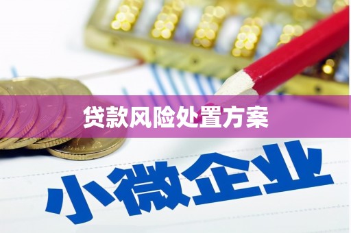 桃江贷款风险处置方案