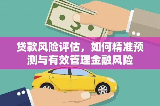 桃江贷款风险评估，如何精准预测与有效管理金融风险