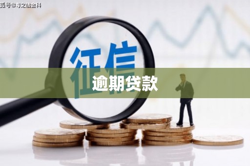 桃江逾期贷款