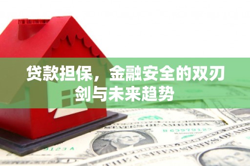桃江贷款担保，金融安全的双刃剑与未来趋势
