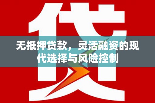 桃江无抵押贷款，灵活融资的现代选择与风险控制
