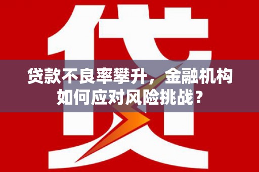 桃江贷款不良率攀升，金融机构如何应对风险挑战？