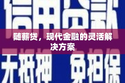 桃江随薪贷，现代金融的灵活解决方案