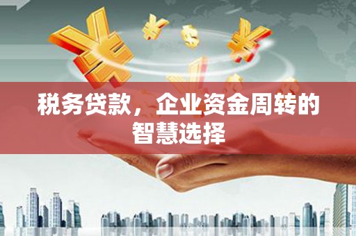 桃江税务贷款，企业资金周转的智慧选择