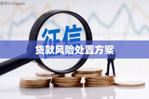 桃江贷款风险处置方案