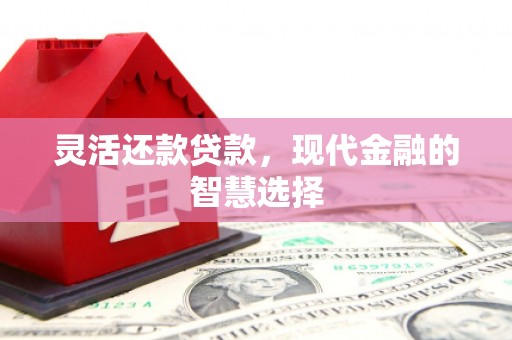 桃江灵活还款贷款，现代金融的智慧选择