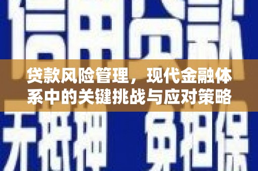 桃江贷款风险管理，现代金融体系中的关键挑战与应对策略