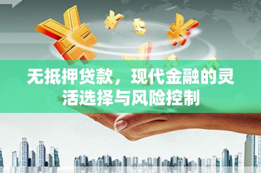 桃江无抵押贷款，现代金融的灵活选择与风险控制