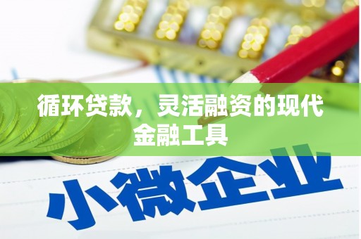 桃江循环贷款，灵活融资的现代金融工具