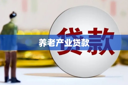 桃江养老产业贷款
