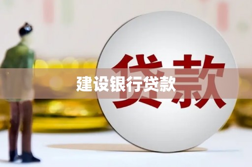 桃江建设银行贷款