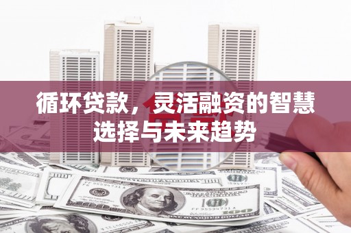 桃江循环贷款，灵活融资的智慧选择与未来趋势