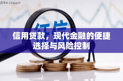 桃江信用贷款，现代金融的便捷选择与风险控制