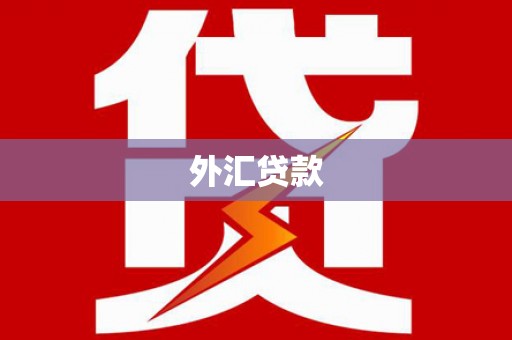 桃江外汇贷款