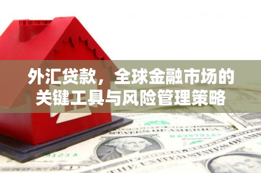 桃江外汇贷款，全球金融市场的关键工具与风险管理策略