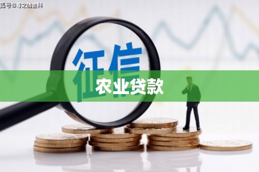 桃江农业贷款