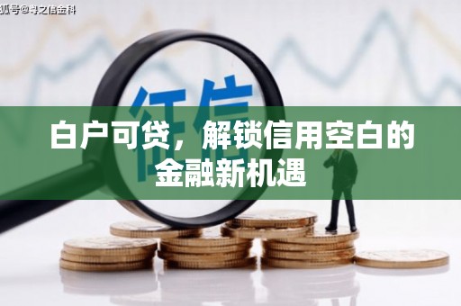 桃江白户可贷，解锁信用空白的金融新机遇