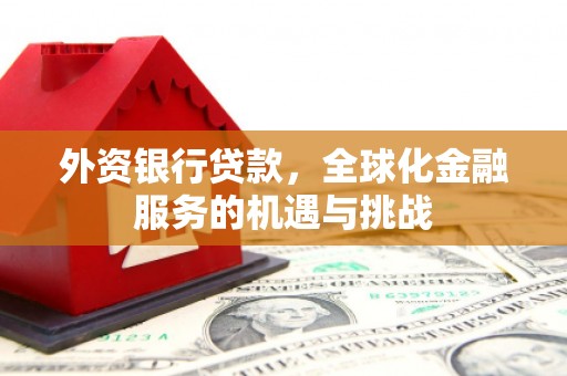 桃江外资银行贷款，全球化金融服务的机遇与挑战
