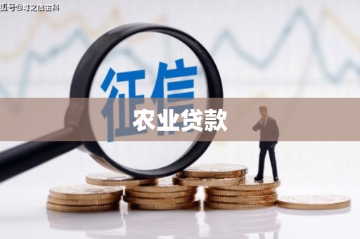 桃江农业贷款