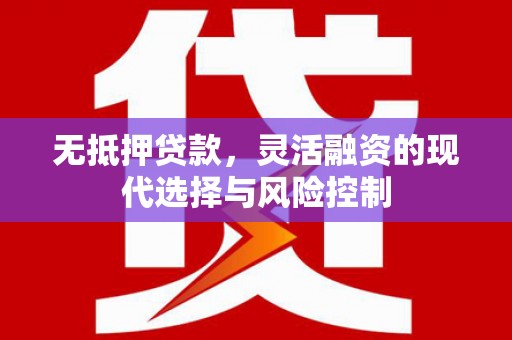 桃江无抵押贷款，灵活融资的现代选择与风险控制