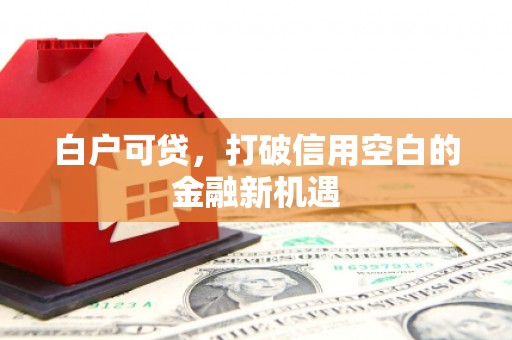 桃江白户可贷，打破信用空白的金融新机遇