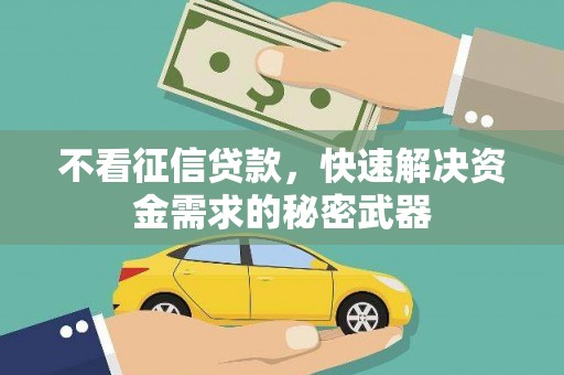 桃江不看征信贷款，快速解决资金需求的秘密武器