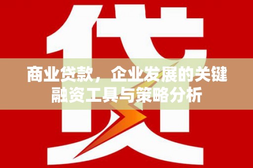 桃江商业贷款，企业发展的关键融资工具与策略分析