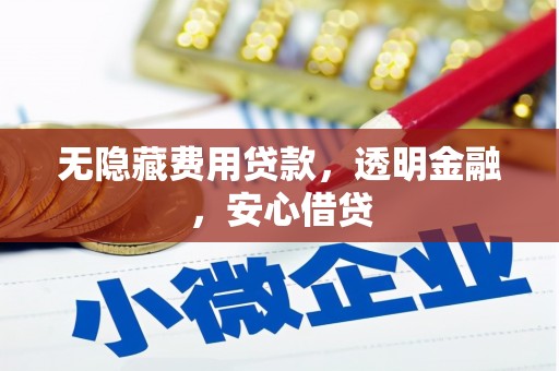 桃江无隐藏费用贷款，透明金融，安心借贷