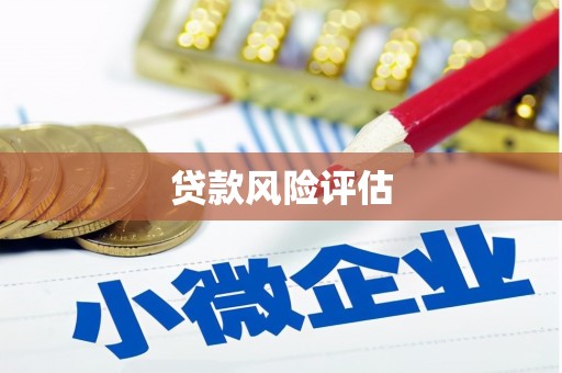 桃江贷款风险评估
