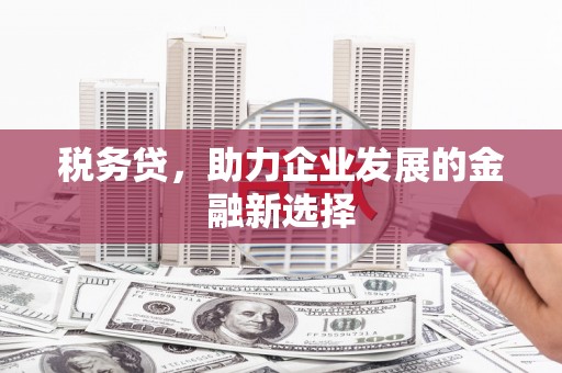 桃江税务贷，助力企业发展的金融新选择