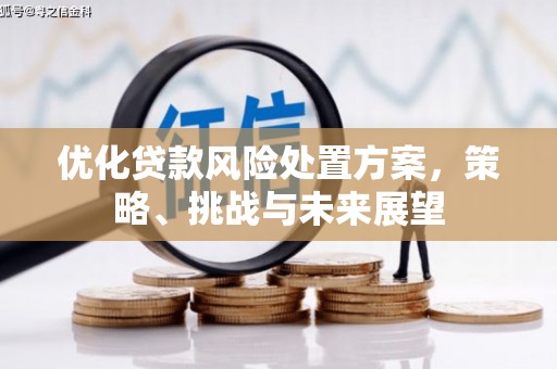 桃江优化贷款风险处置方案，策略、挑战与未来展望
